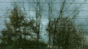 Rain-Painting-still-Rear-Window-Fall-IS1-adj