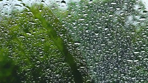 Rain-Painting-still-Windshield-2-Adj