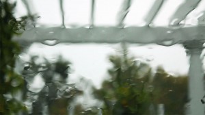 Rain-Painting-still-garden-trellis-adj