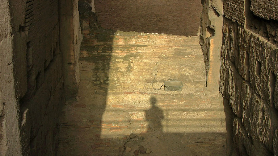 Spectators-Single-Shadow-Spectator-Adj