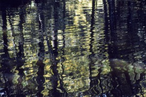 Waterscape-2