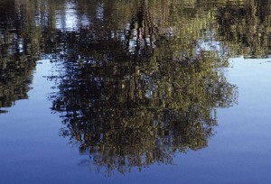 Waterscape-3